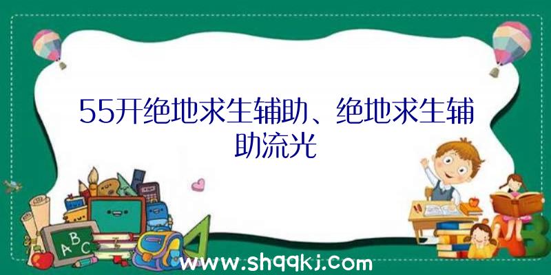 55开绝地求生辅助、绝地求生辅助流光