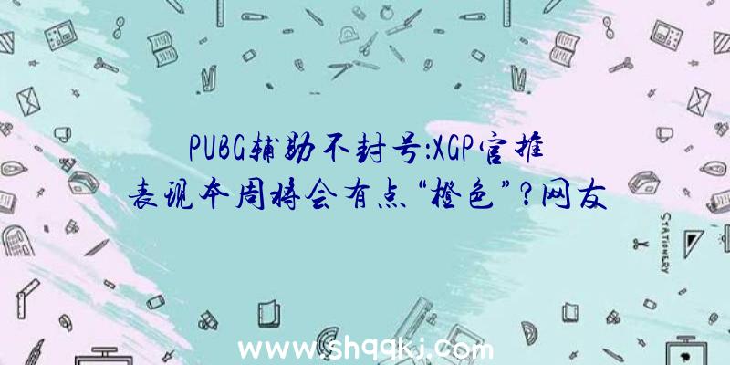 PUBG辅助不封号