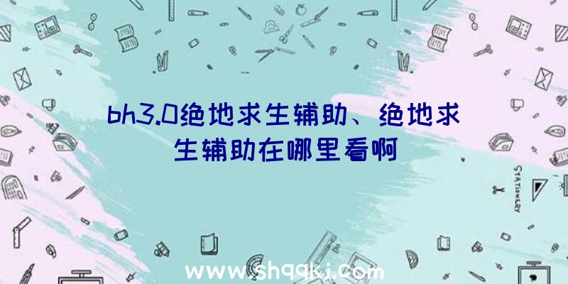 bh3.0绝地求生辅助、绝地求生辅助在哪里看啊