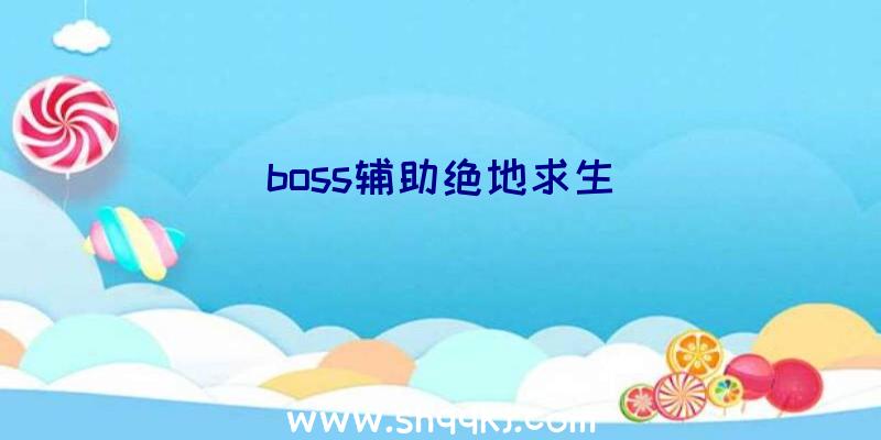 boss辅助绝地求生