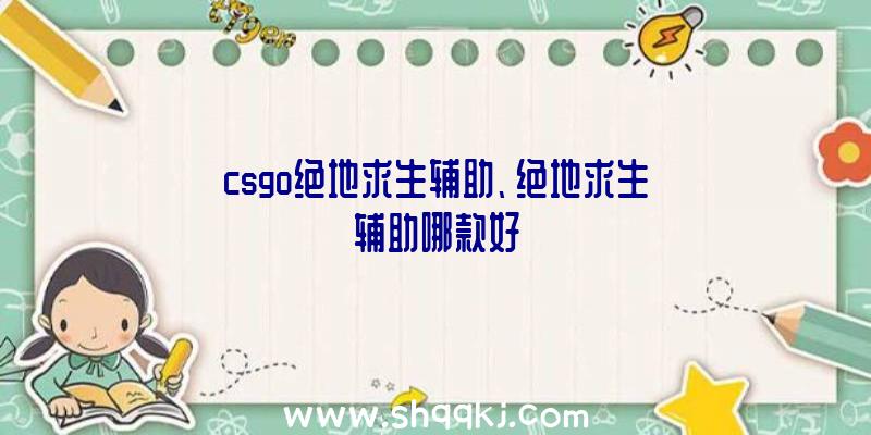 csgo绝地求生辅助、绝地求生辅助哪款好