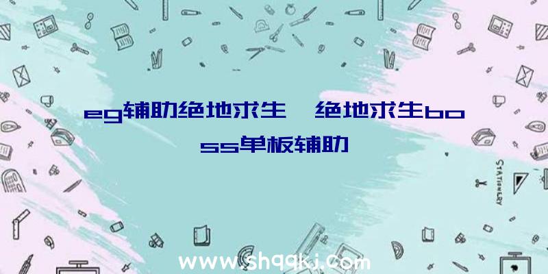 eg辅助绝地求生、绝地求生boss单板辅助