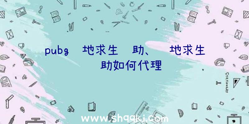 pubg绝地求生辅助、绝地求生辅助如何代理