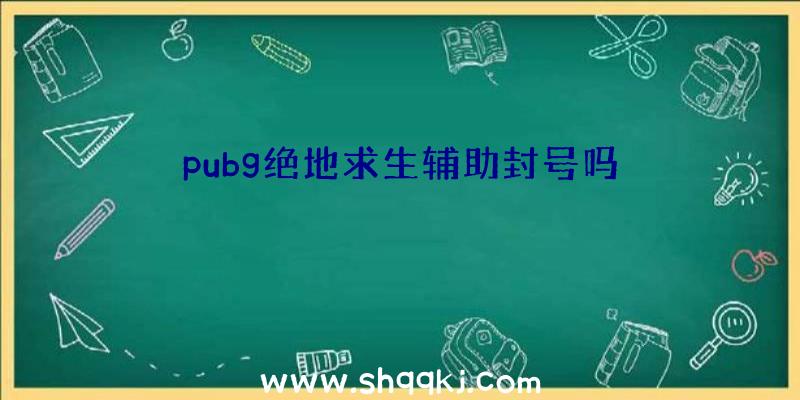 pubg绝地求生辅助封号吗