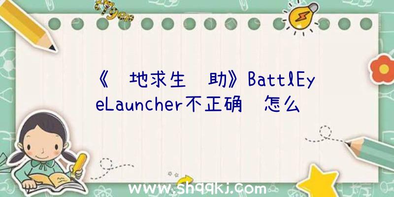 《绝地求生辅助》BattlEyeLauncher不正确该怎么办