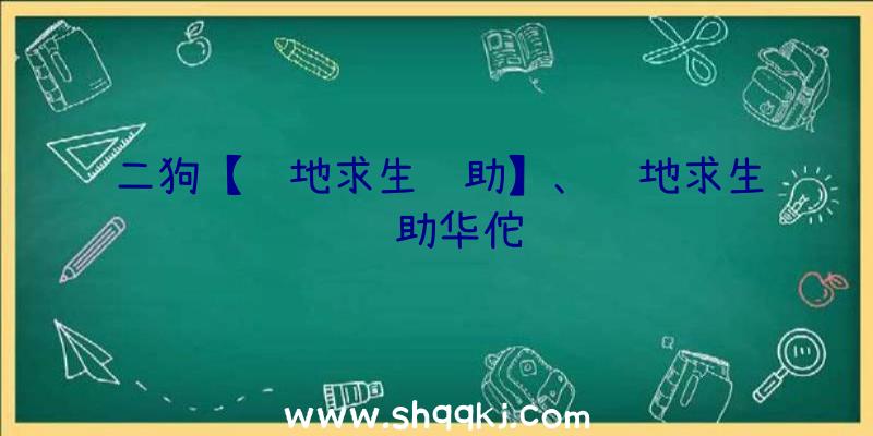 二狗【绝地求生辅助】、绝地求生辅助华佗