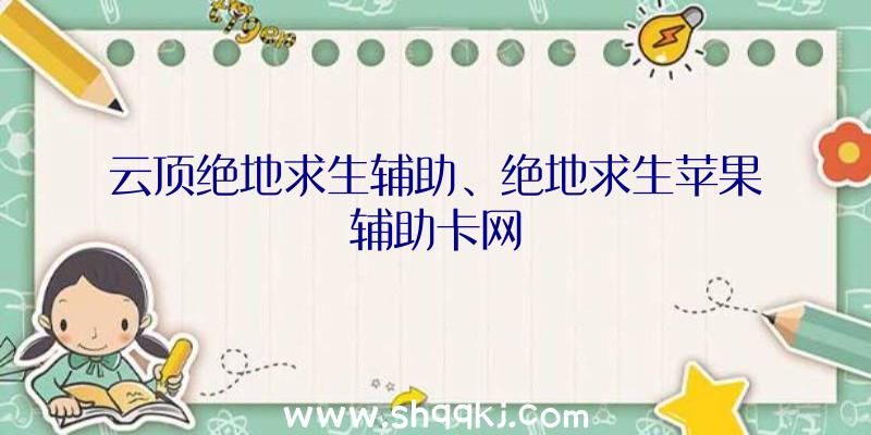 云顶绝地求生辅助、绝地求生苹果辅助卡网