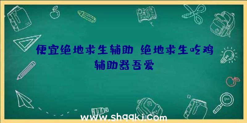 便宜绝地求生辅助、绝地求生吃鸡辅助器吾爱