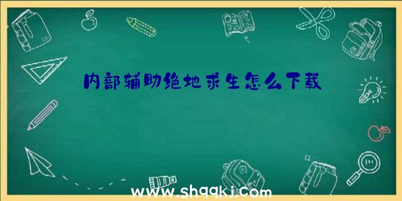 内部辅助绝地求生怎么下载