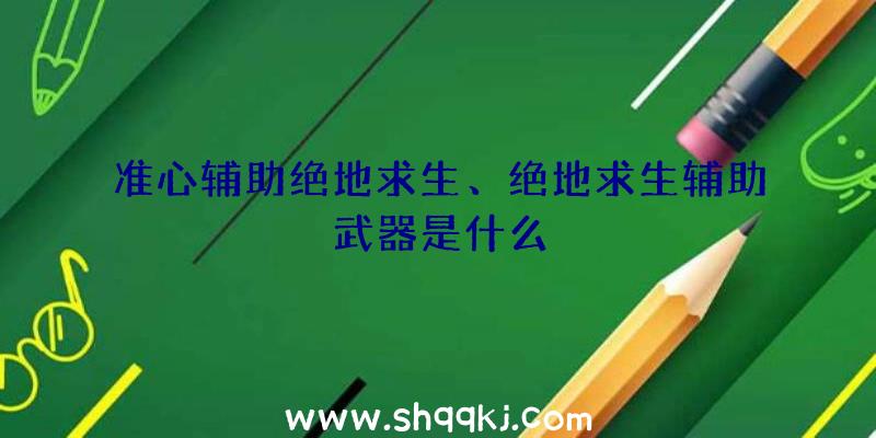 准心辅助绝地求生、绝地求生辅助武器是什么