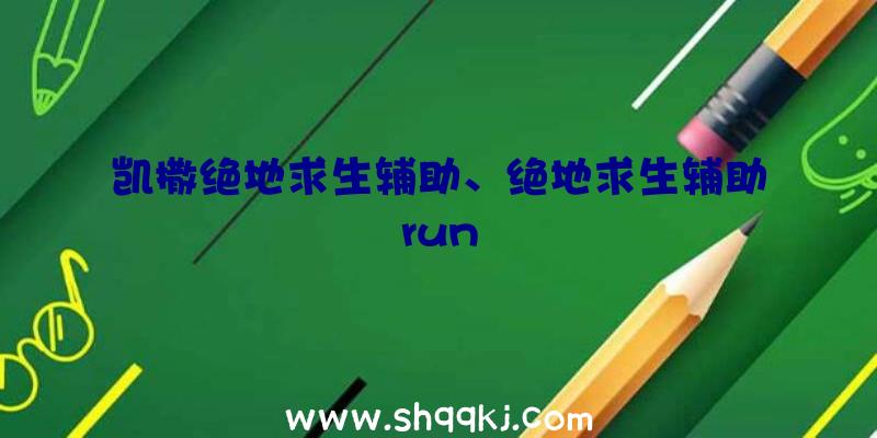 凯撒绝地求生辅助、绝地求生辅助run