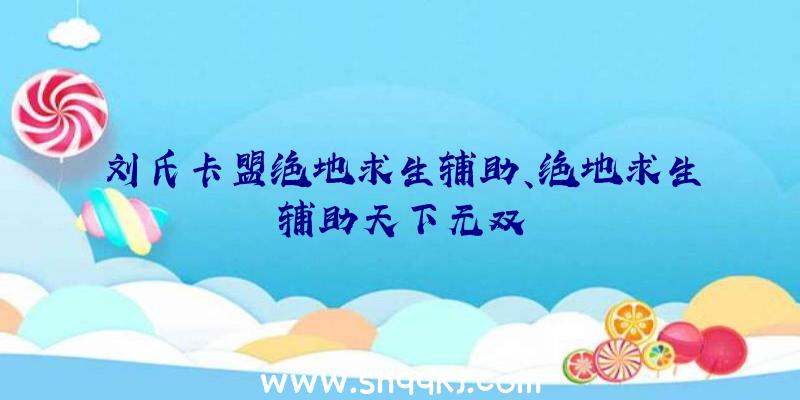 刘氏卡盟绝地求生辅助、绝地求生辅助天下无双