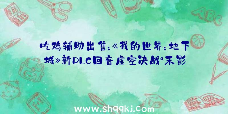 吃鸡辅助出售：《我的世界：地下城》新DLC回音虚空决战“末影人”新拓展包将于7月28日上线