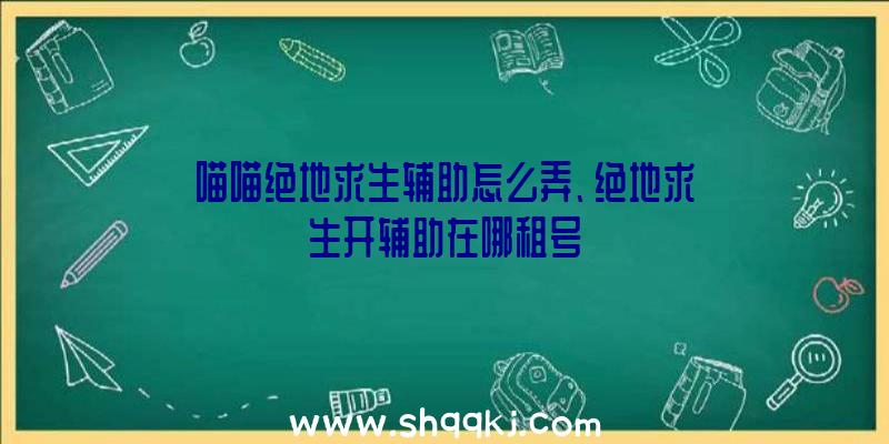 喵喵绝地求生辅助怎么弄、绝地求生开辅助在哪租号