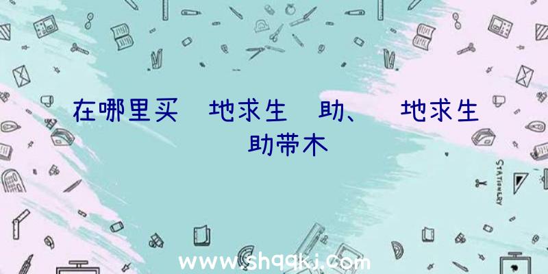 在哪里买绝地求生辅助、绝地求生辅助带木马