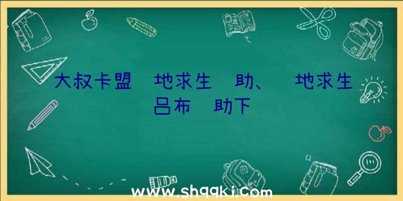 大叔卡盟绝地求生辅助、绝地求生吕布辅助下载