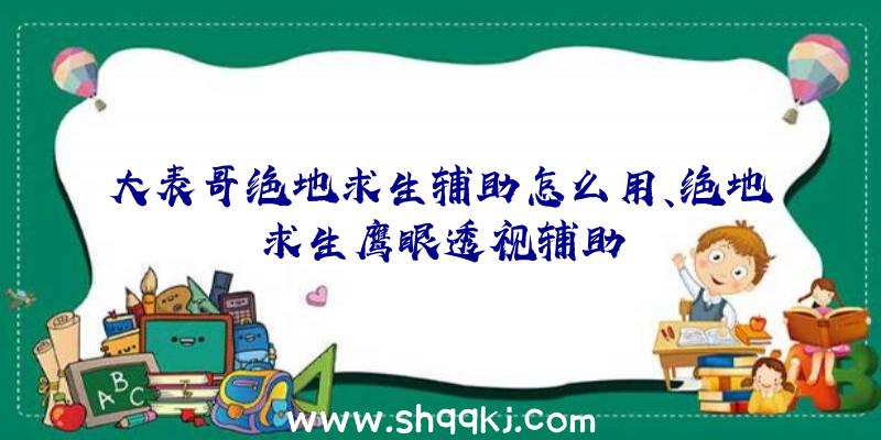 大表哥绝地求生辅助怎么用、绝地求生鹰眼透视辅助