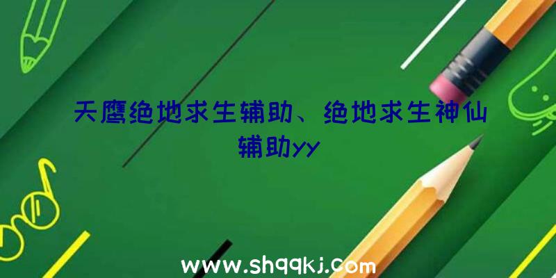 天鹰绝地求生辅助、绝地求生神仙辅助yy