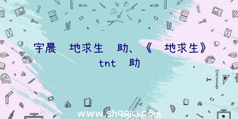 宇晨绝地求生辅助、《绝地求生》tnt辅助