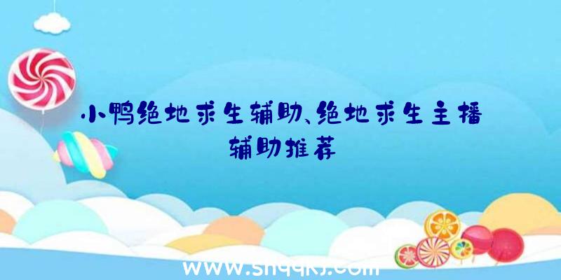 小鸭绝地求生辅助、绝地求生主播辅助推荐