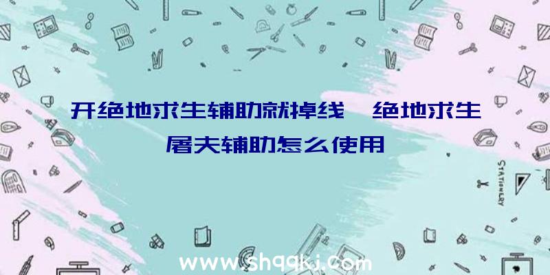 开绝地求生辅助就掉线、绝地求生屠夫辅助怎么使用