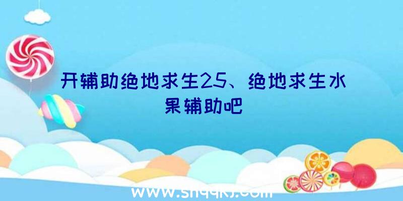 开辅助绝地求生25、绝地求生水果辅助吧