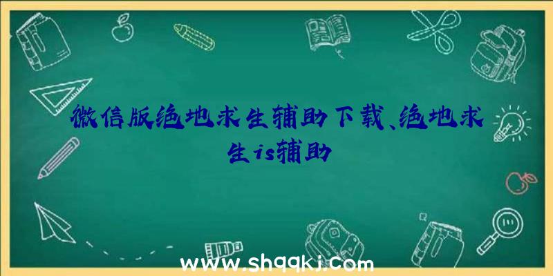 微信版绝地求生辅助下载、绝地求生is辅助