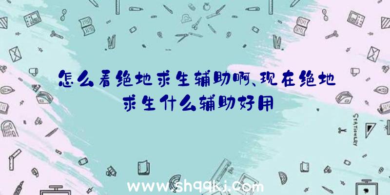 怎么看绝地求生辅助啊、现在绝地求生什么辅助好用