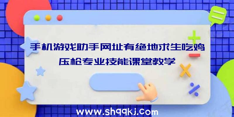 手机游戏助手网址有绝地求生吃鸡压枪专业技能课堂教学