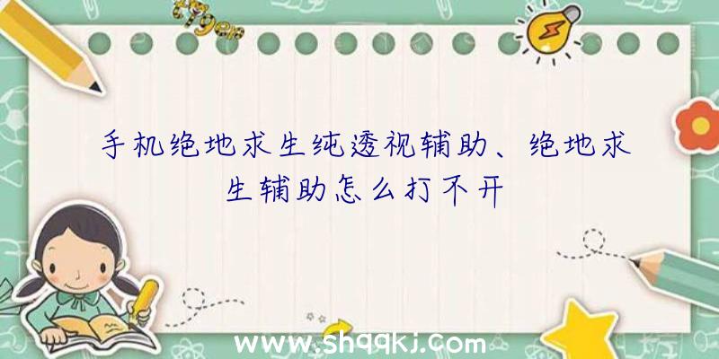 手机绝地求生纯透视辅助、绝地求生辅助怎么打不开