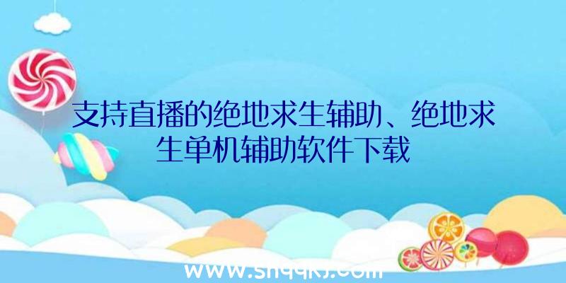 支持直播的绝地求生辅助、绝地求生单机辅助软件下载