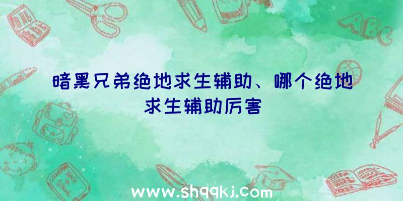 暗黑兄弟绝地求生辅助、哪个绝地求生辅助厉害