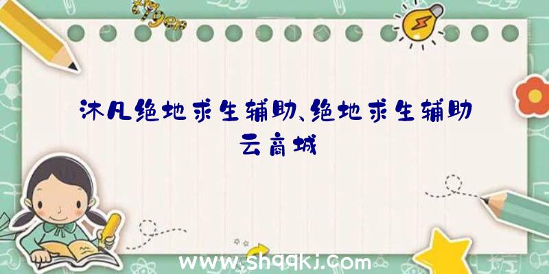 沐凡绝地求生辅助、绝地求生辅助云商城