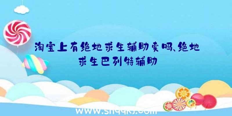 淘宝上有绝地求生辅助卖吗、绝地求生巴列特辅助