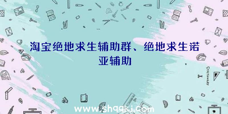 淘宝绝地求生辅助群、绝地求生诺亚辅助