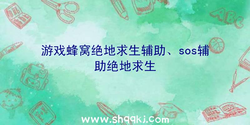 游戏蜂窝绝地求生辅助、sos辅助绝地求生