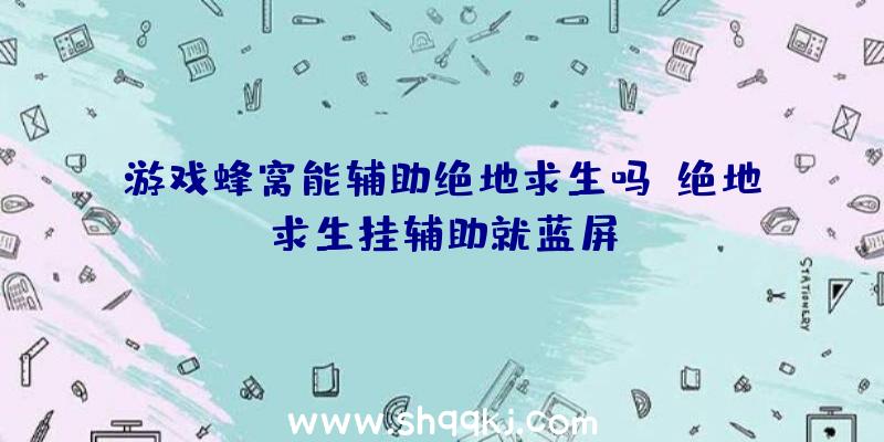 游戏蜂窝能辅助绝地求生吗、绝地求生挂辅助就蓝屏