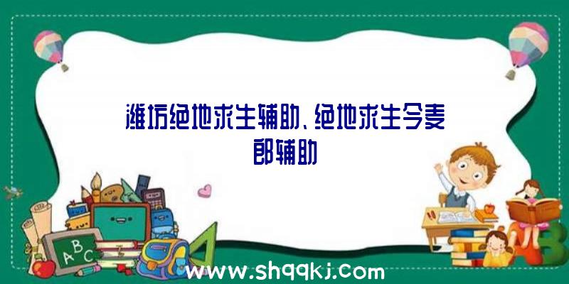 潍坊绝地求生辅助、绝地求生今麦郎辅助