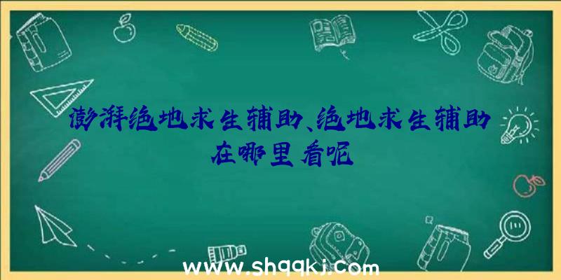 澎湃绝地求生辅助、绝地求生辅助在哪里看呢