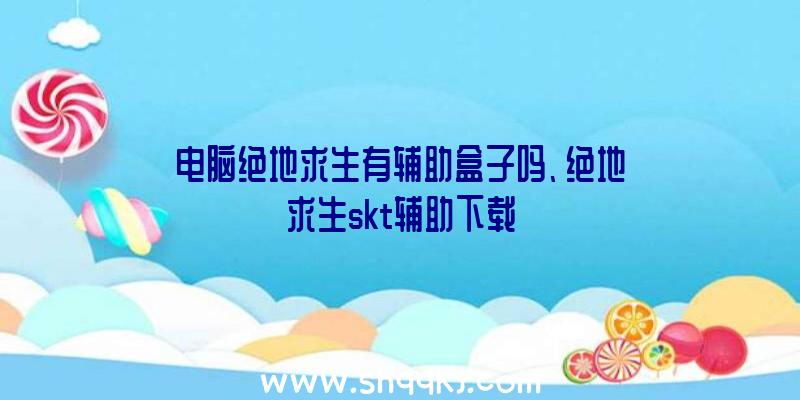 电脑绝地求生有辅助盒子吗、绝地求生skt辅助下载