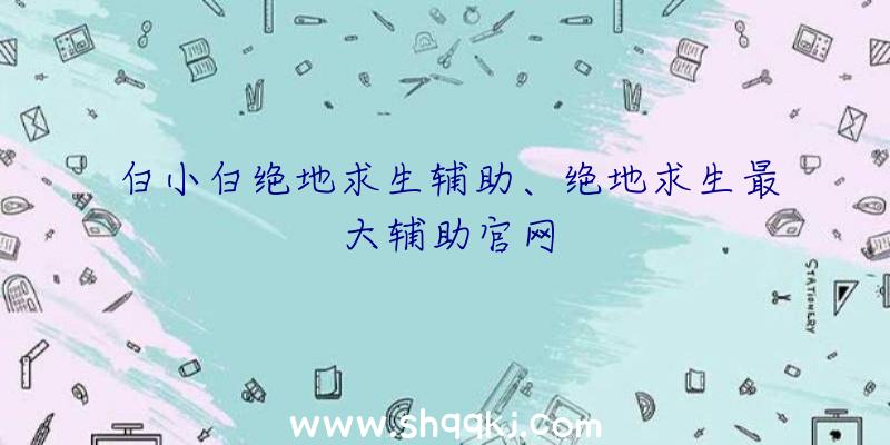 白小白绝地求生辅助、绝地求生最大辅助官网