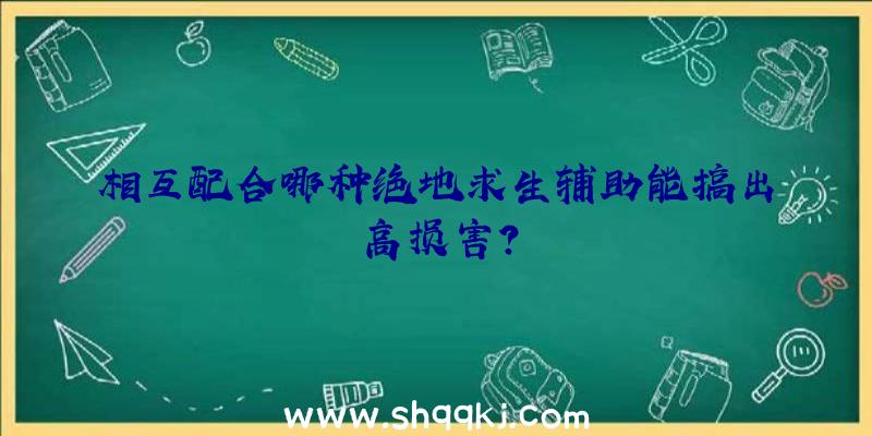 相互配合哪种绝地求生辅助能搞出高损害？