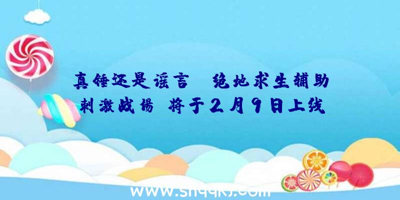 真锤还是谣言？《绝地求生辅助:刺激战场》将于2月9日上线!