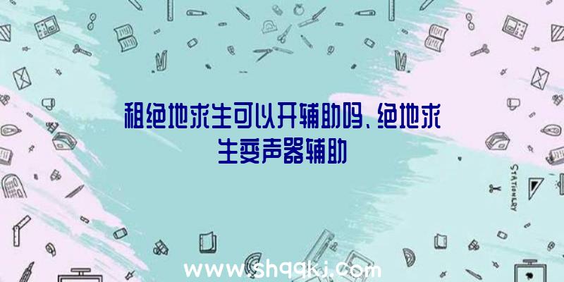 租绝地求生可以开辅助吗、绝地求生变声器辅助