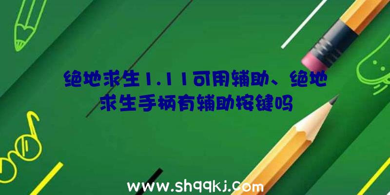 绝地求生1.11可用辅助、绝地求生手柄有辅助按键吗