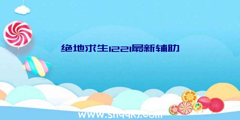 绝地求生1221最新辅助