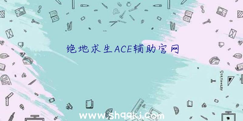 绝地求生ACE辅助官网