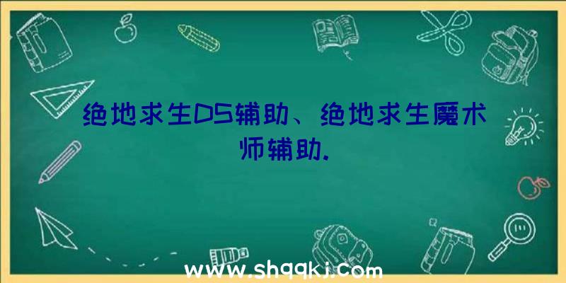 绝地求生DS辅助、绝地求生魔术师辅助.