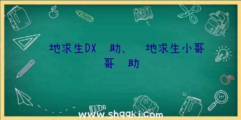 绝地求生DX辅助、绝地求生小哥哥辅助