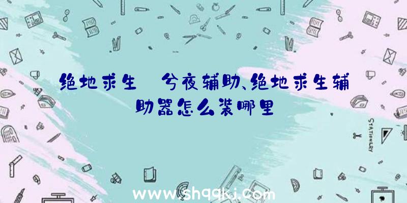 绝地求生_兮夜辅助、绝地求生辅助器怎么装哪里